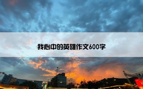 我心中的英雄作文600字