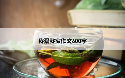 我爱我家作文600字