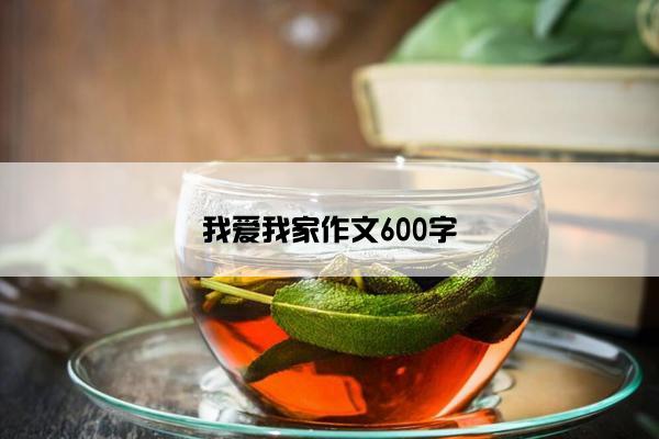 我爱我家作文600字