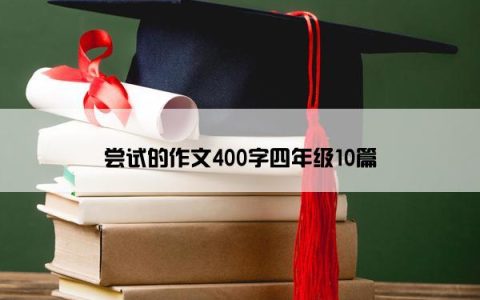 尝试的作文400字四年级10篇