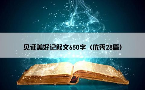 见证美好记叙文650字（优秀28篇）