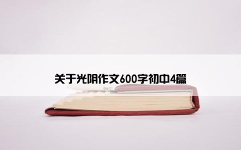 关于光阴作文600字初中4篇