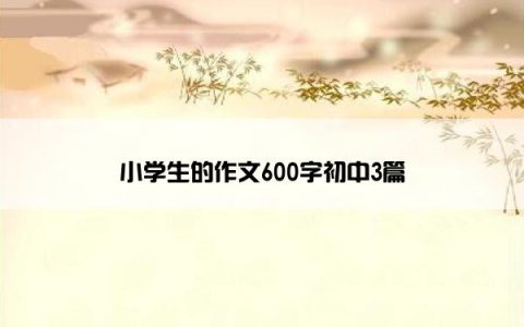 小学生的作文600字初中3篇