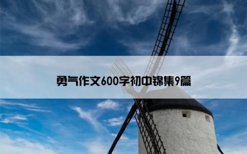 勇气作文600字初中锦集9篇