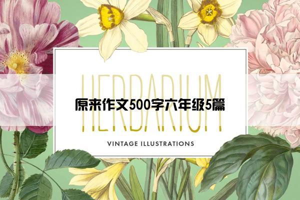 原来作文500字六年级5篇