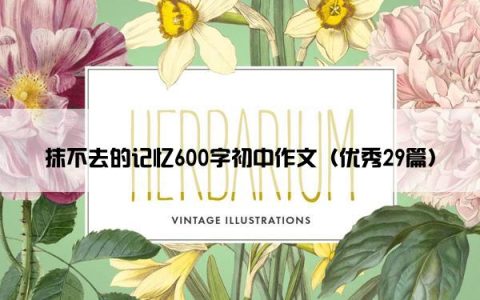 抹不去的记忆600字初中作文（优秀29篇）