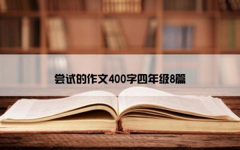 尝试的作文400字四年级8篇