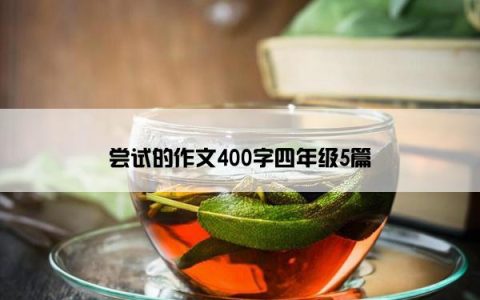 尝试的作文400字四年级5篇