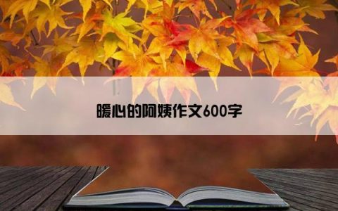 暖心的阿姨作文600字