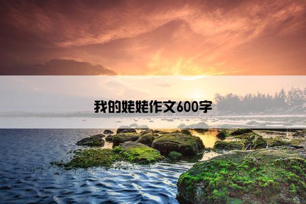 我的姥姥作文600字