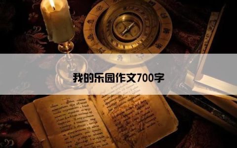 我的乐园作文700字