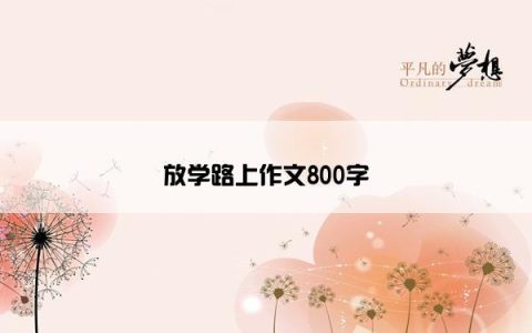 放学路上作文800字