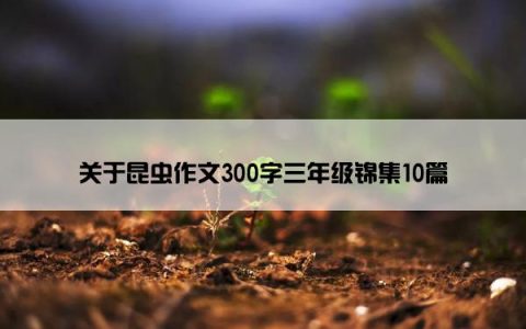 关于昆虫作文300字三年级锦集10篇
