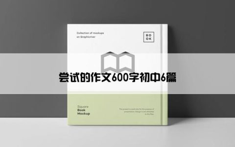 尝试的作文600字初中6篇