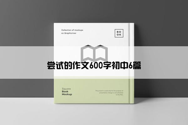 尝试的作文600字初中6篇