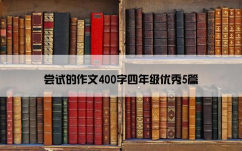尝试的作文400字四年级优秀5篇