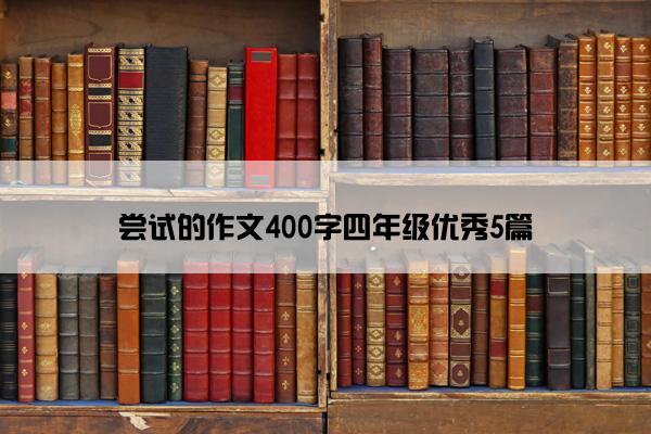 尝试的作文400字四年级优秀5篇