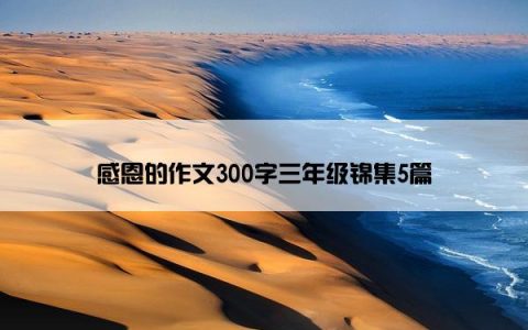 感恩的作文300字三年级锦集5篇