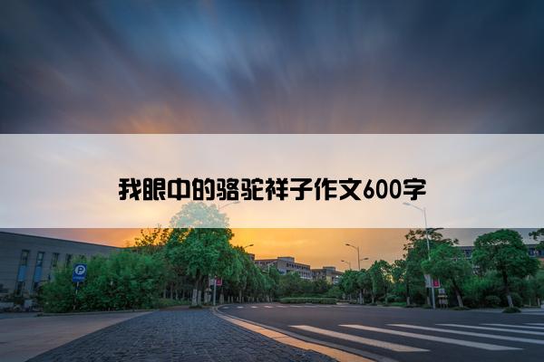 我眼中的骆驼祥子作文600字