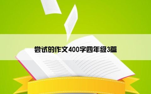 尝试的作文400字四年级3篇