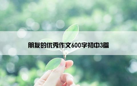 朋友的优秀作文600字初中3篇
