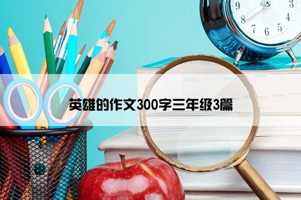 英雄的作文300字三年级3篇