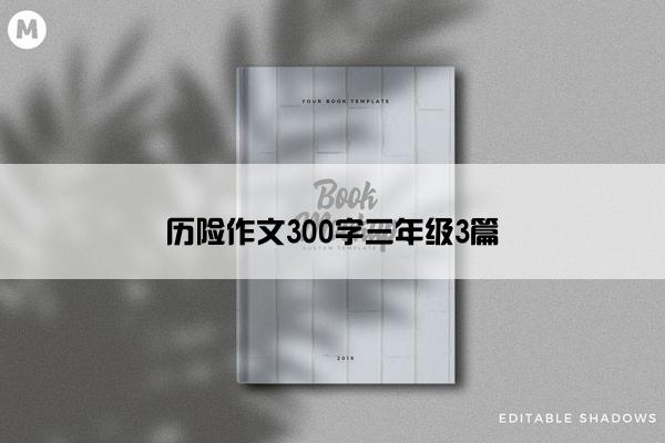 历险作文300字三年级3篇