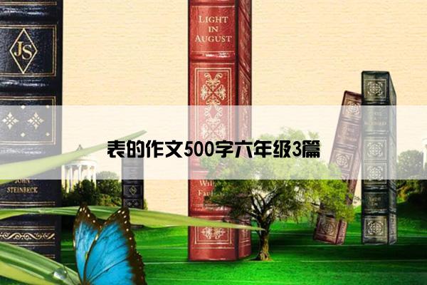 表的作文500字六年级3篇