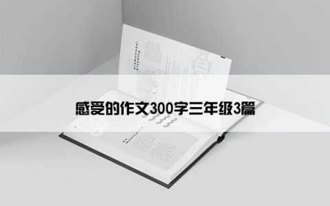 感受的作文300字三年级3篇