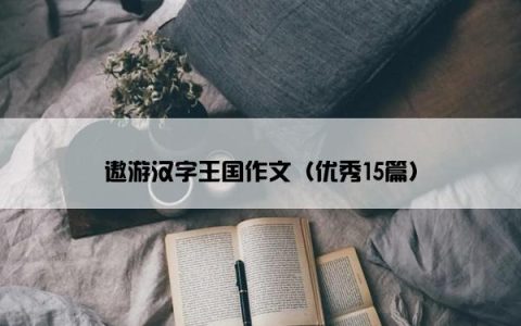 遨游汉字王国作文（优秀15篇）