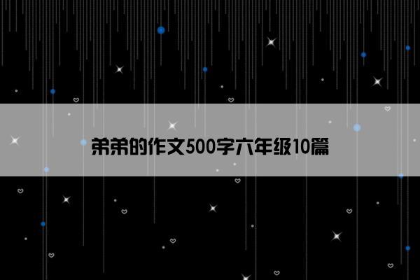 弟弟的作文500字六年级10篇