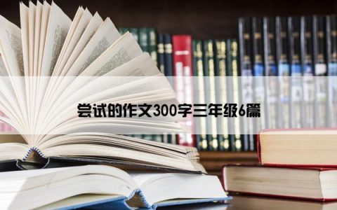 尝试的作文300字三年级6篇