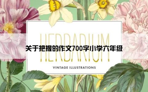 关于把握的作文700字小学六年级