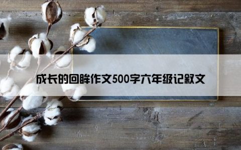 成长的回眸作文500字六年级记叙文