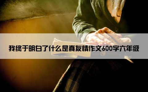 我终于明白了什么是真友情作文600字六年级