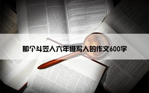 那个斗笠人六年级写人的作文600字