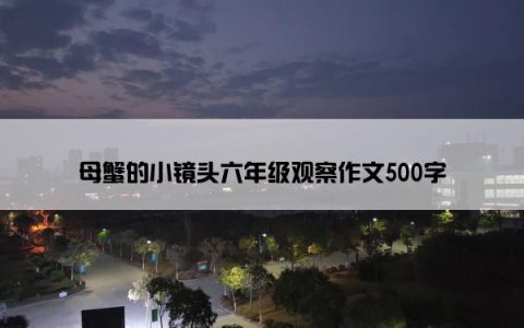 母蟹的小镜头六年级观察作文500字