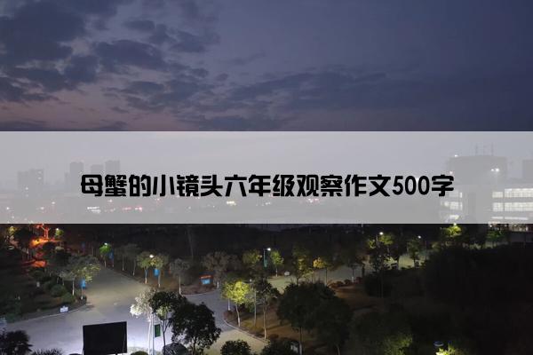 母蟹的小镜头六年级观察作文500字