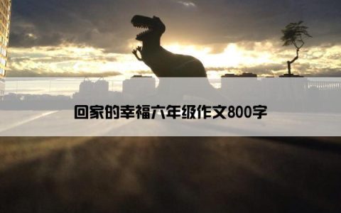 回家的幸福六年级作文800字