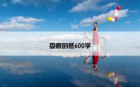 娄底的冬600字