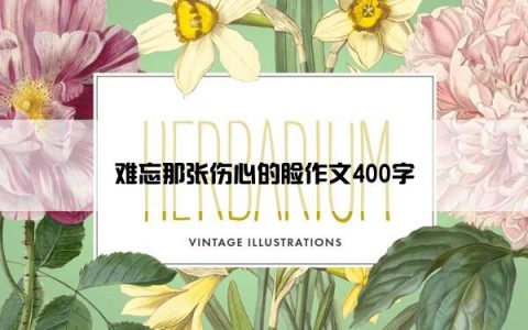 难忘那张伤心的脸作文400字