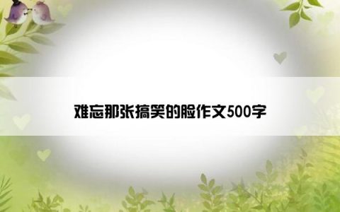 难忘那张搞笑的脸作文500字