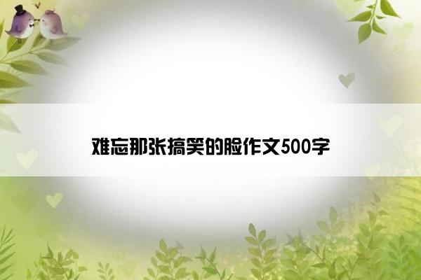 难忘那张搞笑的脸作文500字