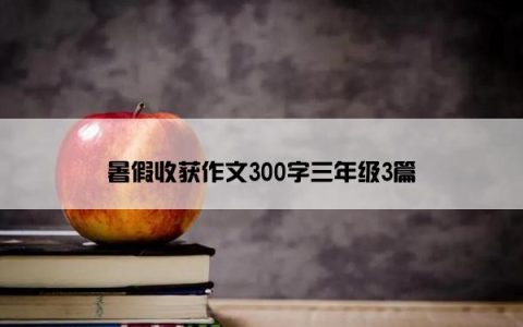 暑假收获作文300字三年级3篇