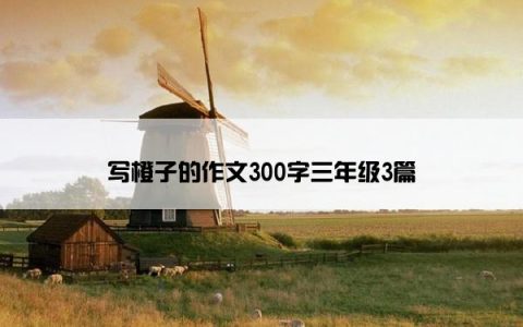 写橙子的作文300字三年级3篇
