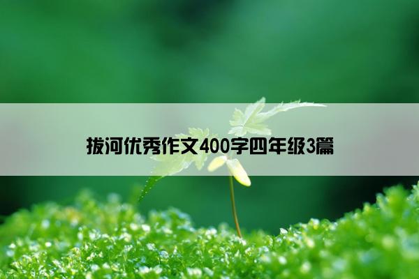 拔河优秀作文400字四年级3篇