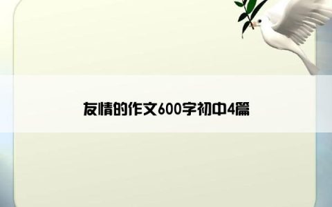 友情的作文600字初中4篇