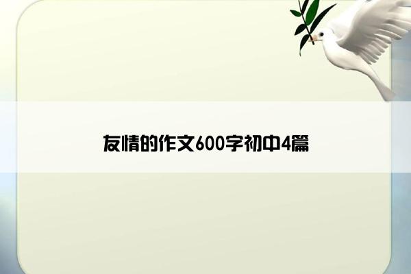 友情的作文600字初中4篇