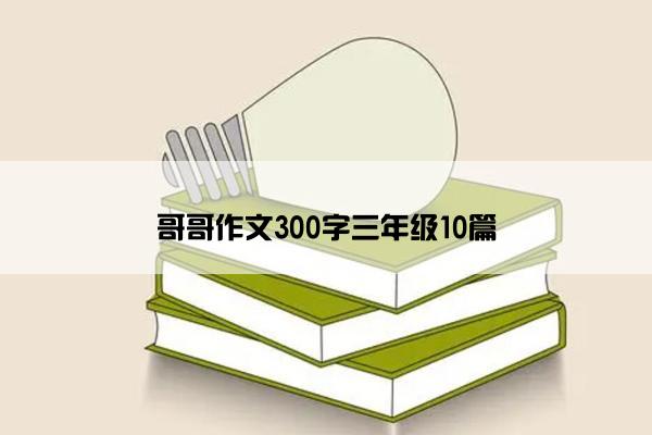 哥哥作文300字三年级10篇