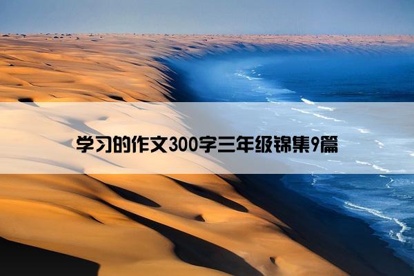 学习的作文300字三年级锦集9篇